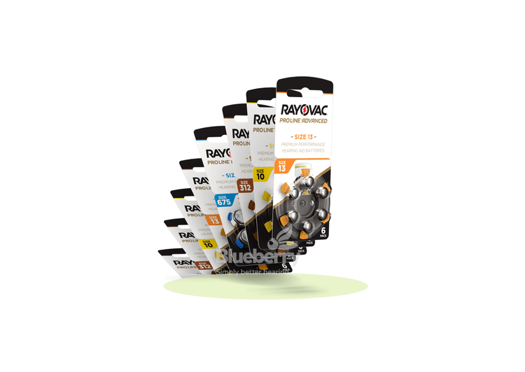 Hearing Aid Batteries