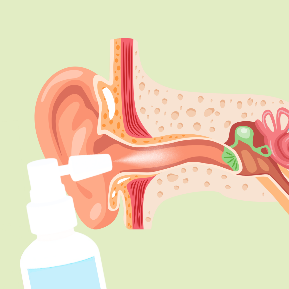 Earwax Removal Kit - Earwax Cleaning & Maintenance Kit